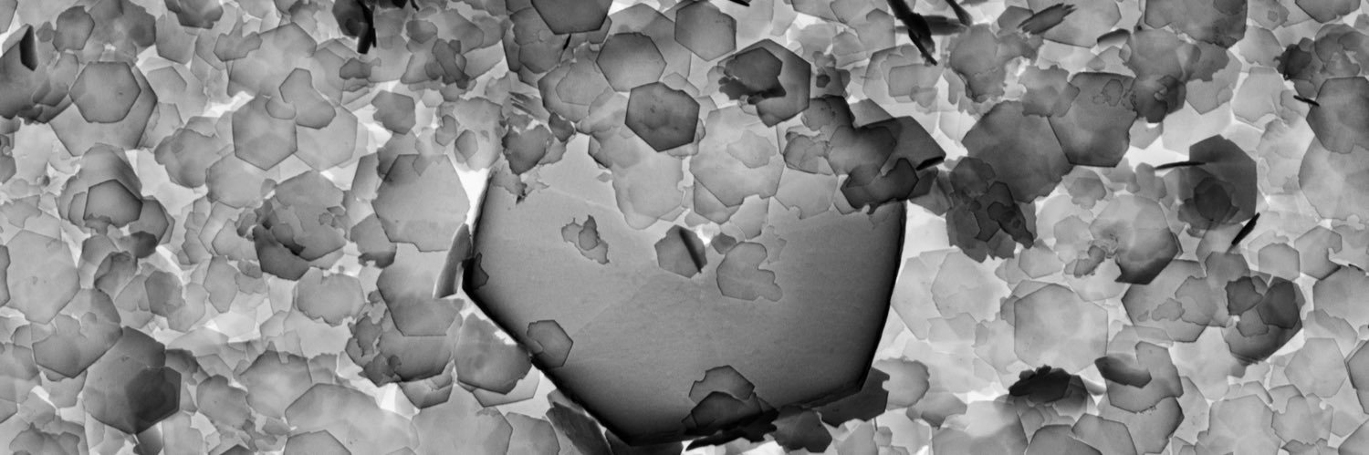 Ichiko Sugiyama banner