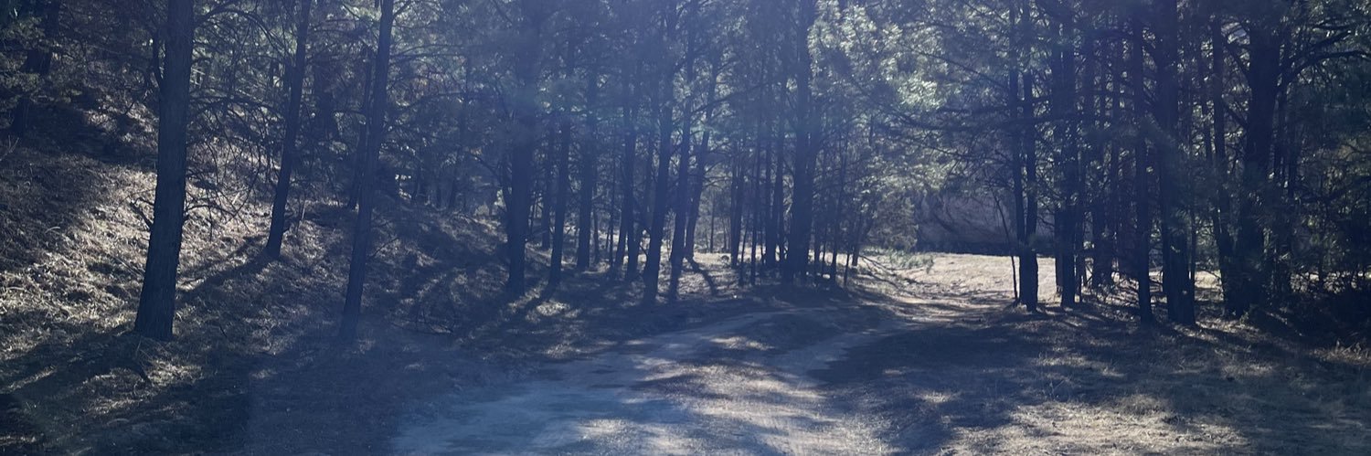 DorianEdsel's profile banner image