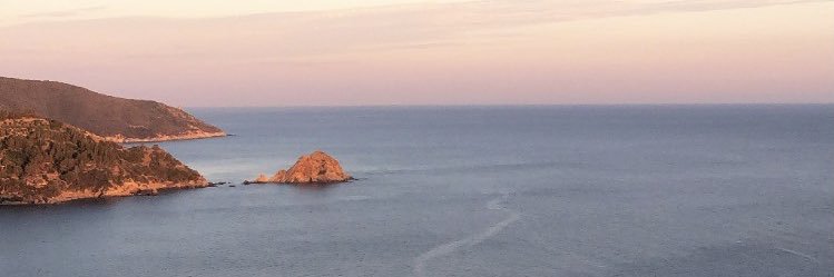 catezanon's profile banner image