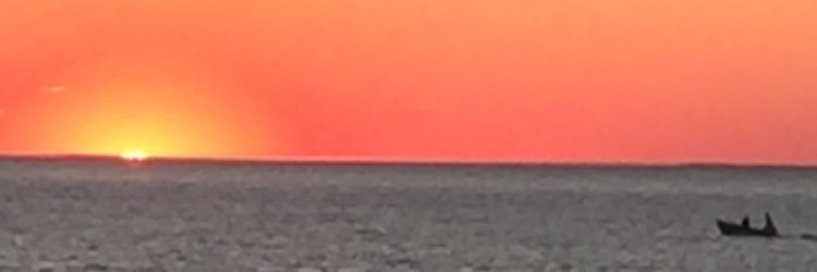 fightingmike7's profile banner image