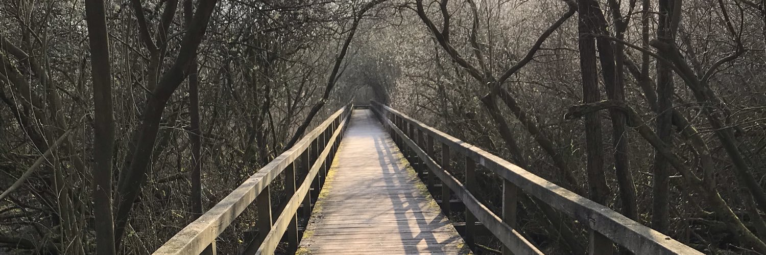 Wzl Bmft 🌍💉 banner