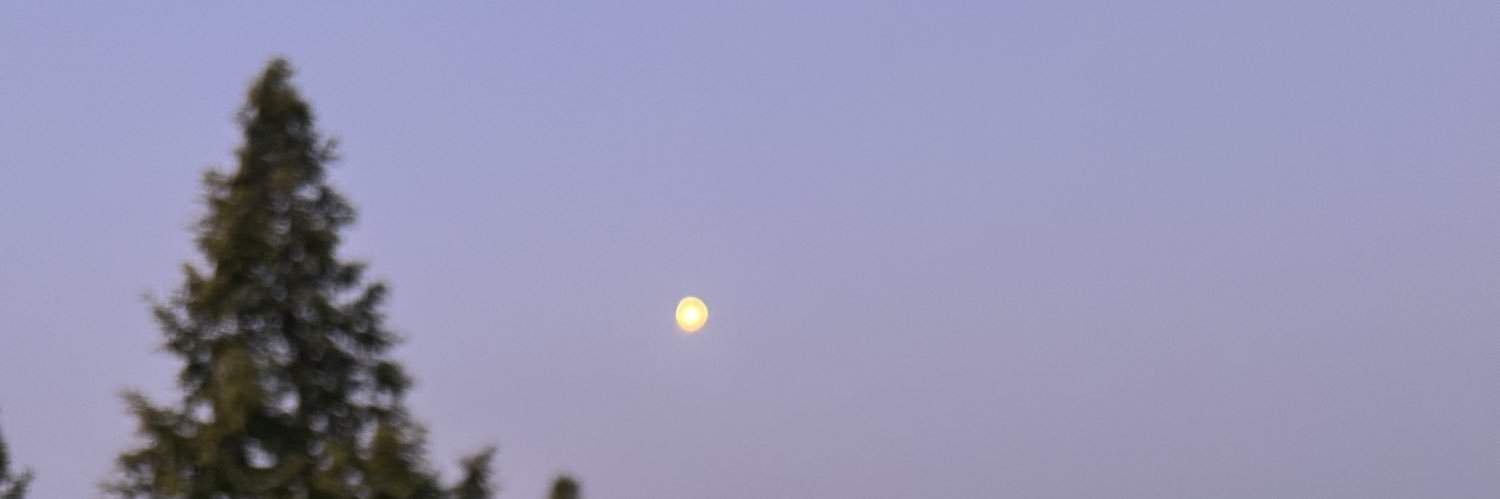 Crazy Horse 🇨🇺 banner