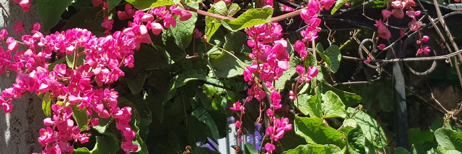 mdggl's profile banner image