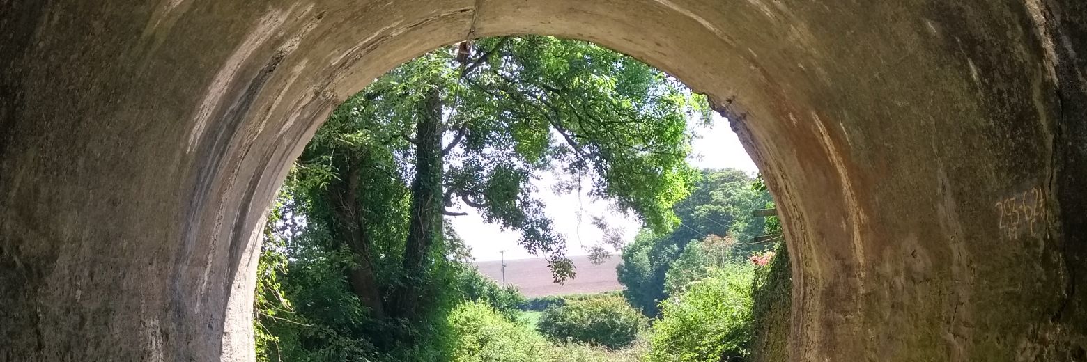 towanblue's profile banner image