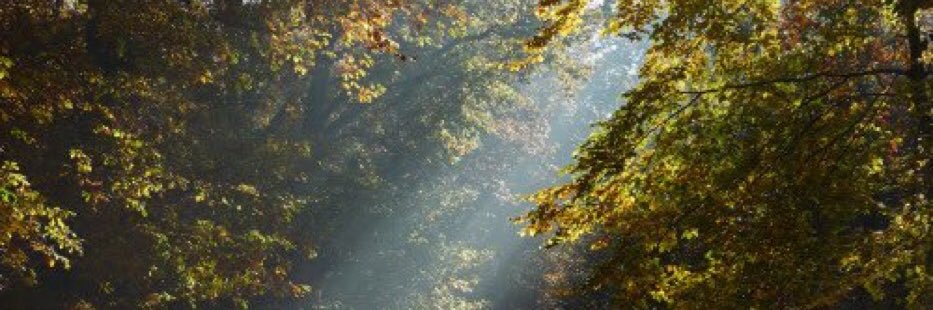 by_life2's profile banner image