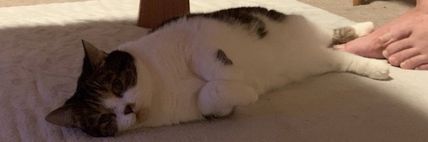 20_185cm Profile Banner