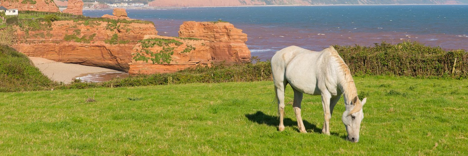 Hotline Electric Fencing banner