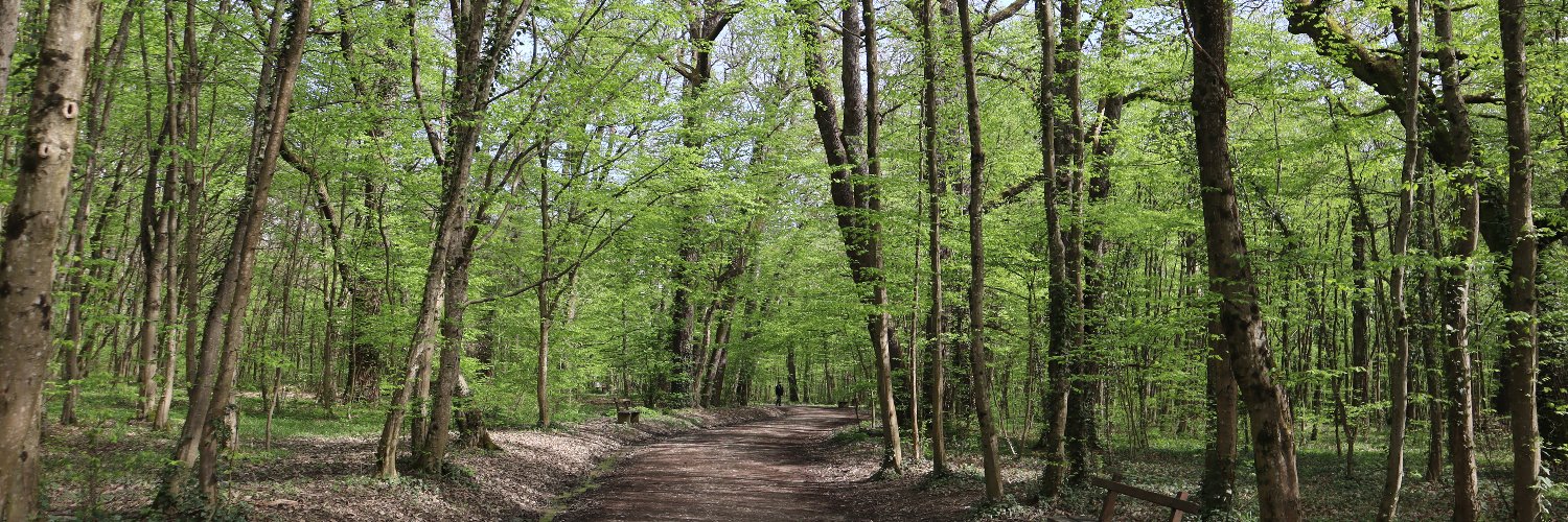 Valentina Martinez banner