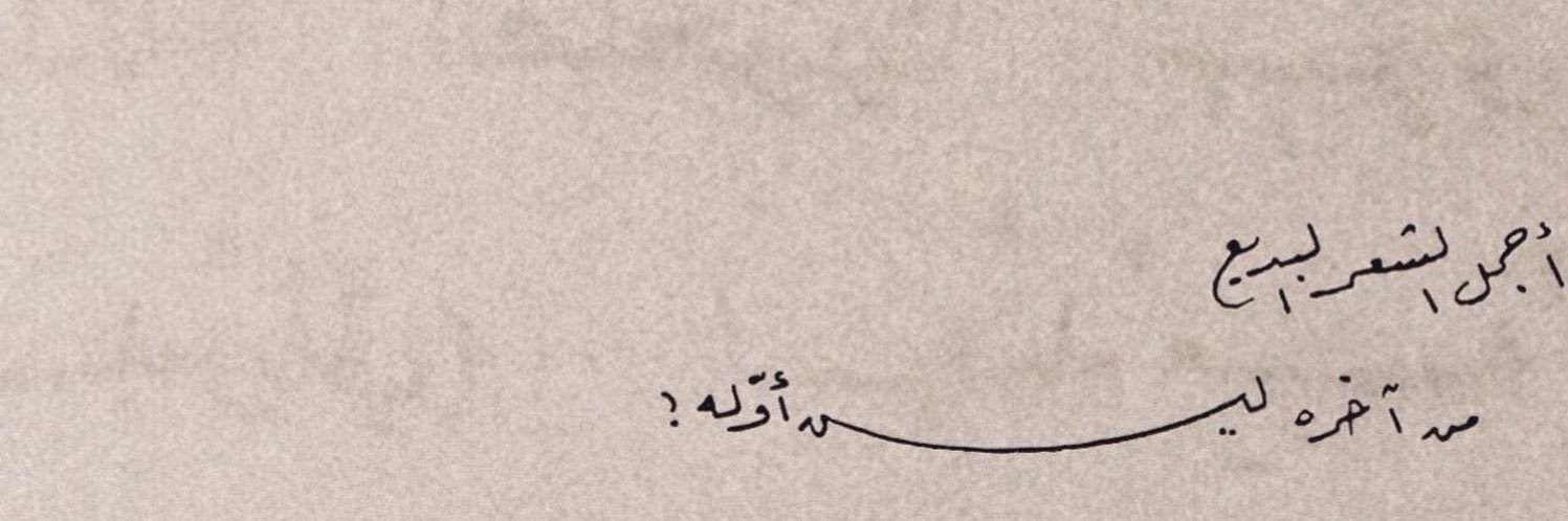… banner