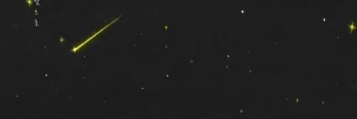 MissCactus93121's profile banner image