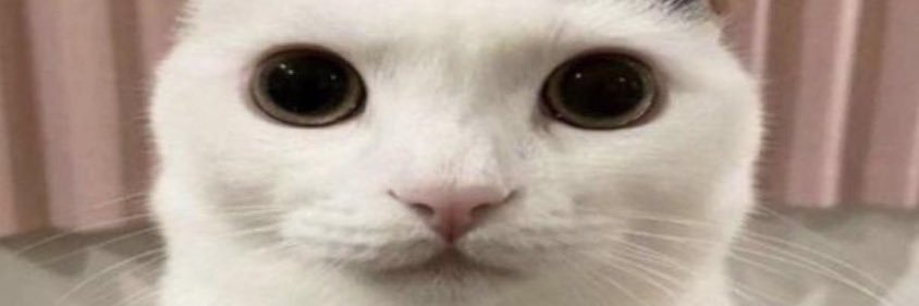 sanggitgp's profile banner image