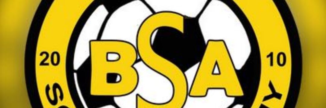 BSA banner