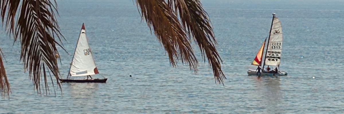 pestruga's profile banner image