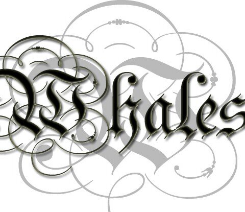 DrWale_O's profile banner image