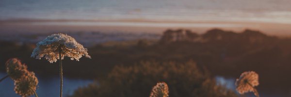 caity_cat22 Profile Banner