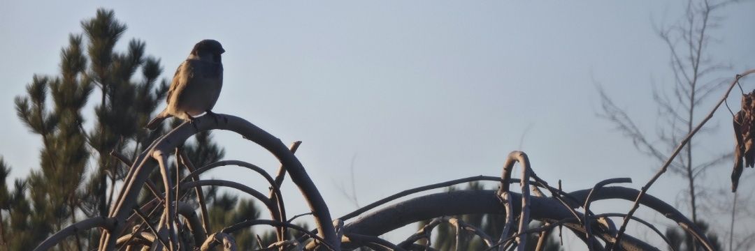 Hceroztrk's profile banner image