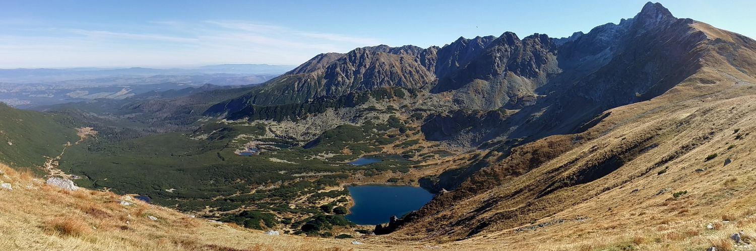 Maria Olecha-Lisiecka banner