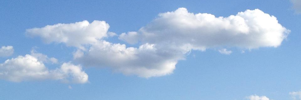 Vincent Kargatis banner