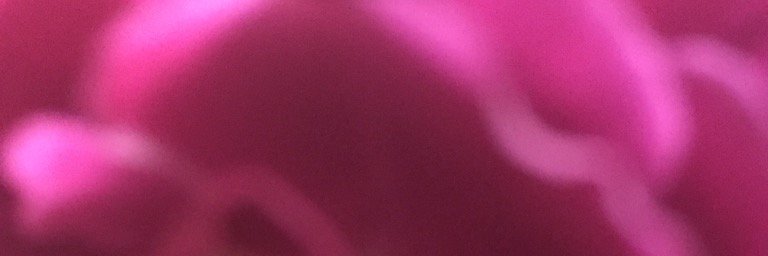 Silvina banner