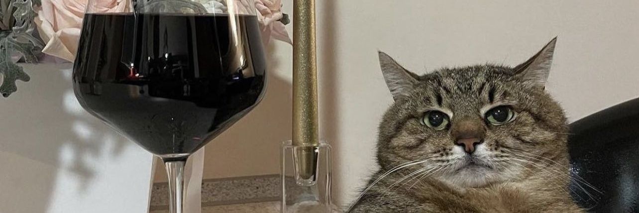 abigaiIherbert's profile banner image