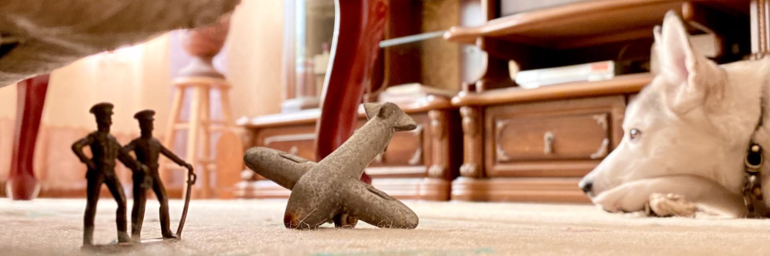 Э.Одгэрэл banner