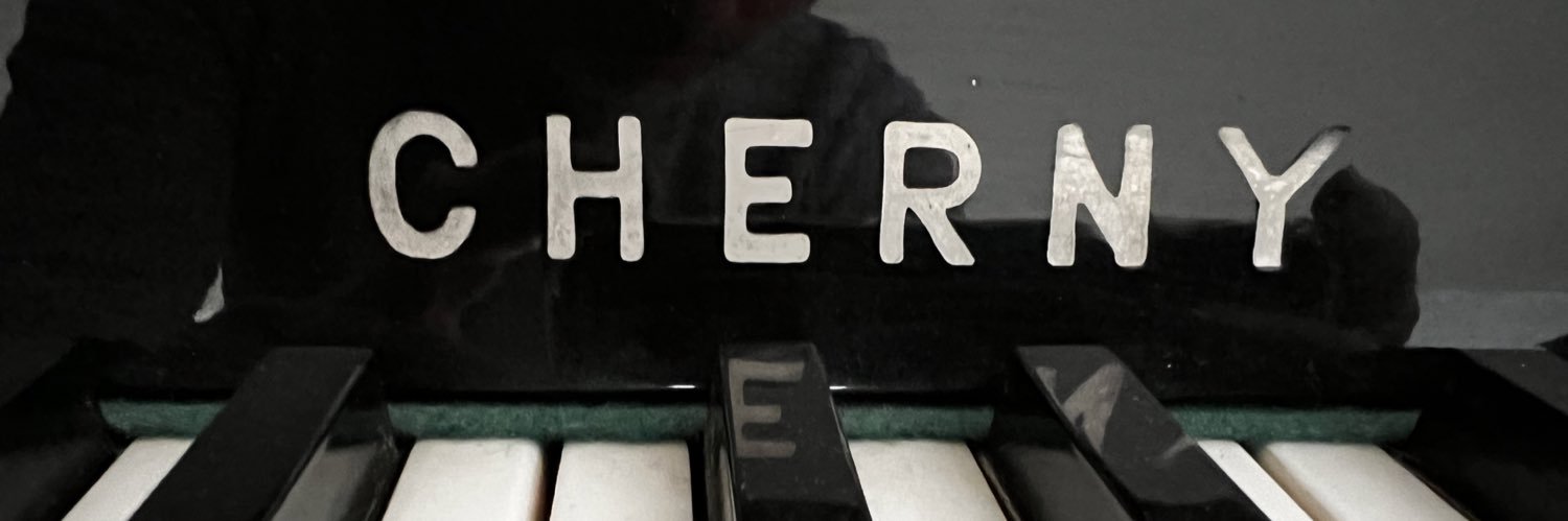 pmdevries's profile banner image