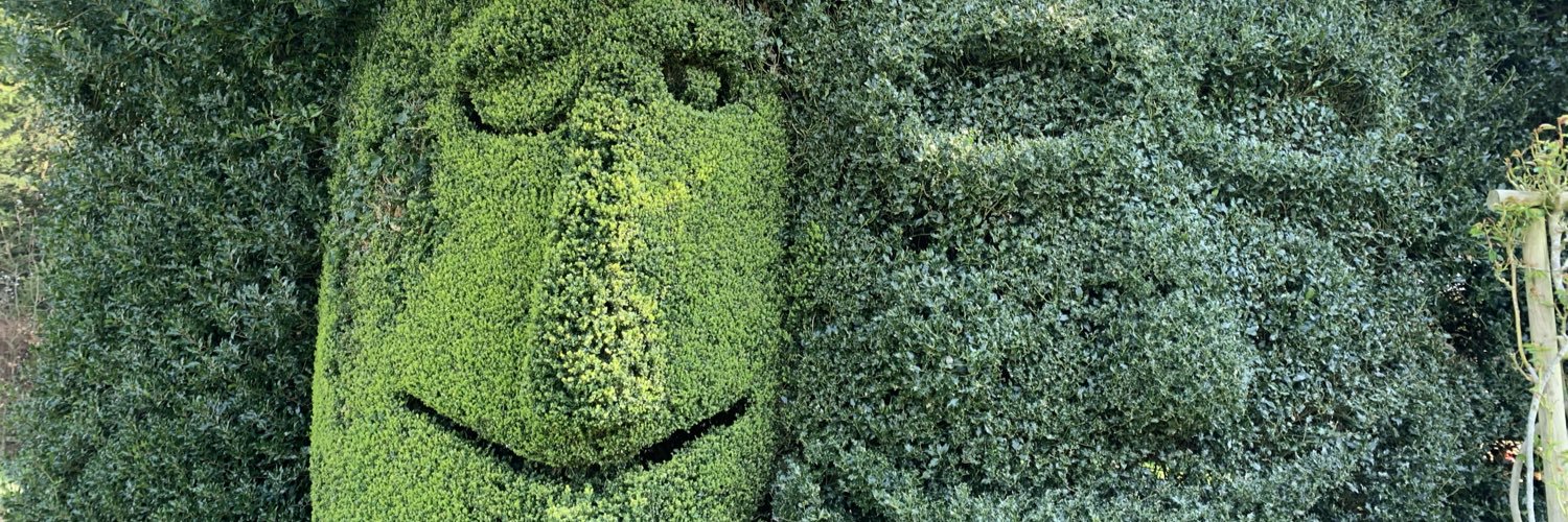 Fiona Ardern🇺🇦🇬🇧 banner