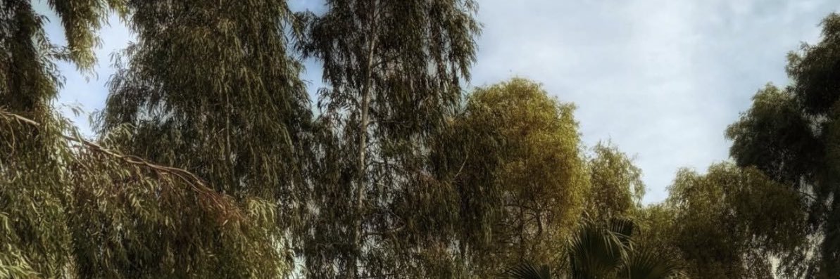 سِين banner