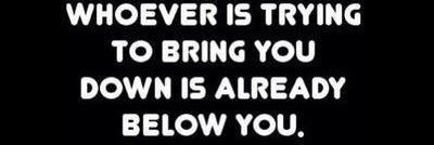 paudie murray banner