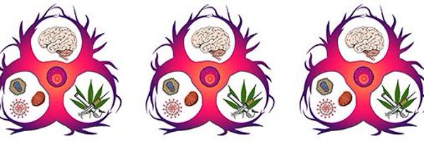 Dr_LisCisLab Profile Banner