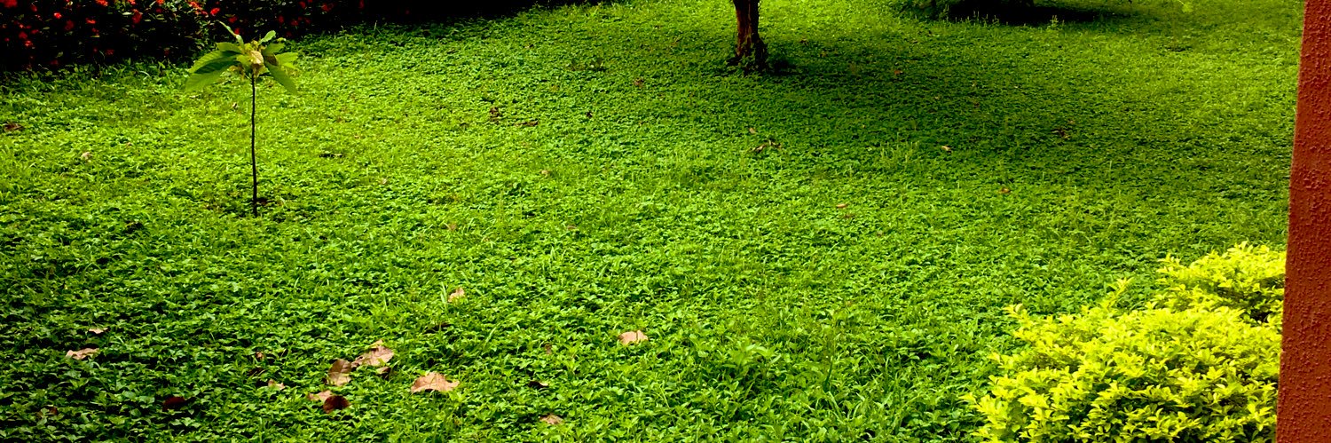 🕵🏾‍♂️BADMANLARRY🕵🏾‍♂️🥶🌾 banner