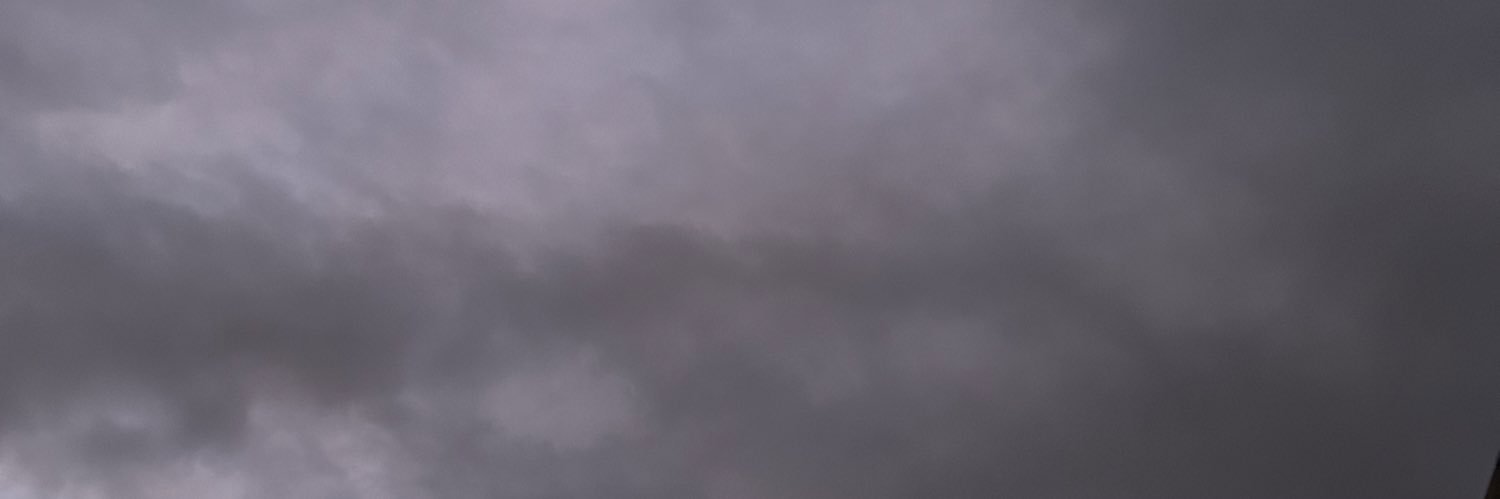 RamonCerdaQuiro's profile banner image
