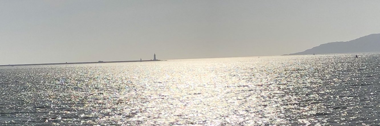 Neil Shapland banner