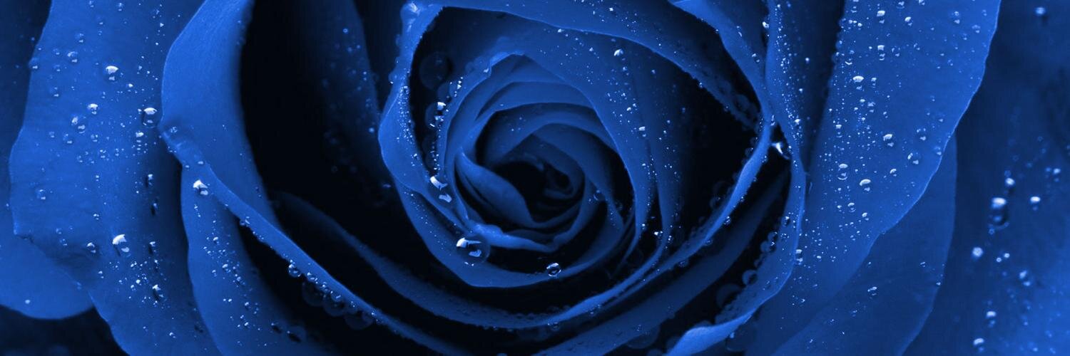 evdokia_roka's profile banner image