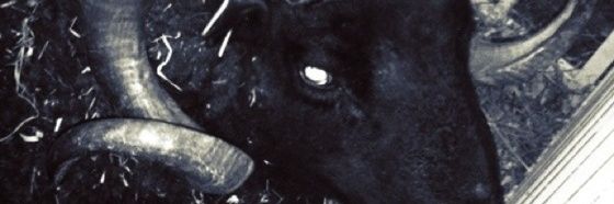 Charlie_dieart's profile banner image
