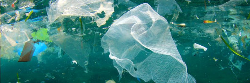 Plastic Free Harpenden banner