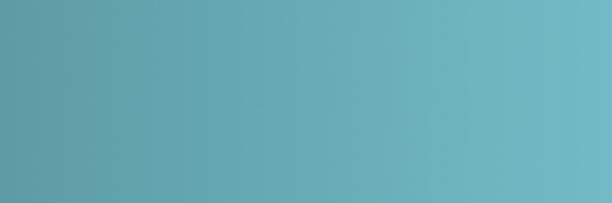 Risevest Support banner