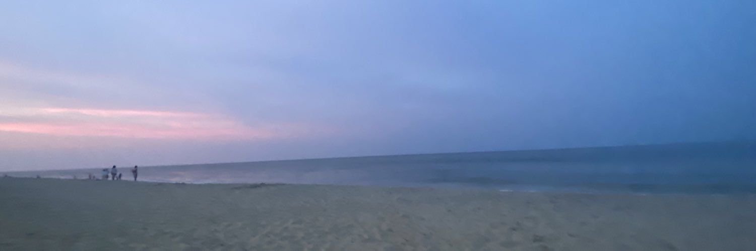 lostmeinthefire's profile banner image