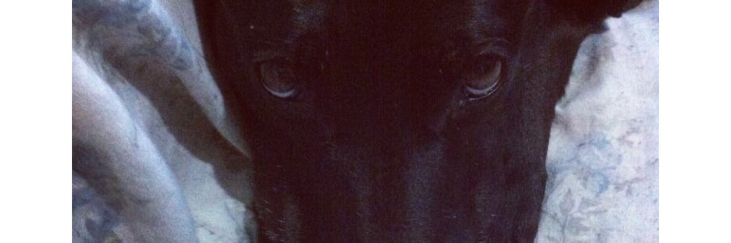 EduarRen19's profile banner image