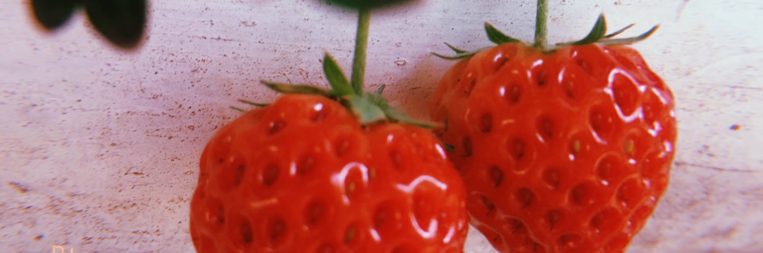 jehizoton's profile banner image