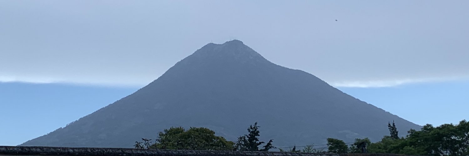 Ana Cofiño banner