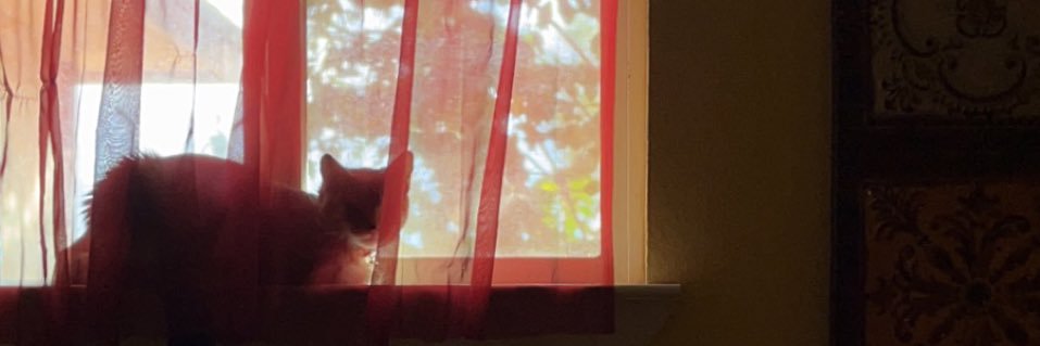 PylerTerezXV's profile banner image