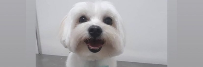 isabellacides22's profile banner image