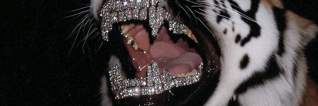 MRNOBODYAMJ's profile banner image