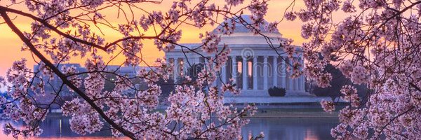 BalbaGayle Profile Banner