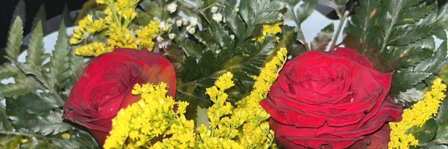 schdrummond's profile banner image