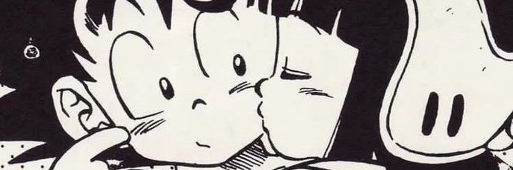 🐼 banner