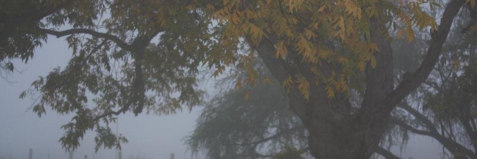 LittleNerf's profile banner image