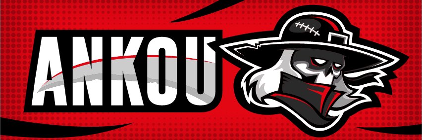 AnkoudeRennes's profile banner image