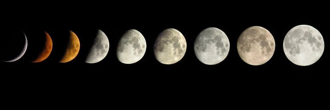 Mrs. Alejandra ⚯͛ banner